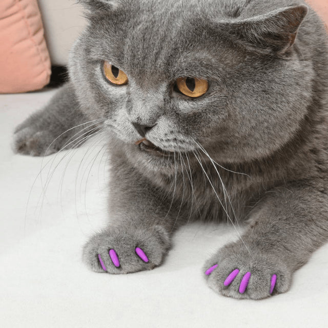 20Pcs Pet Dog Cat Soft Silicone Nail Caps