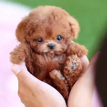 Original  Realistic Robot Puppy🐶