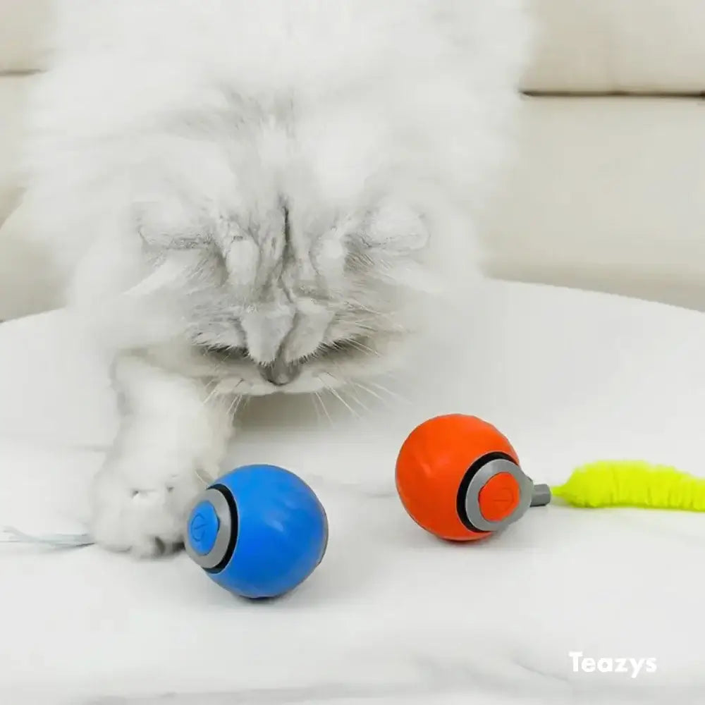 SPEEDY TAIL 2.0 ™‎‎‎‎‎