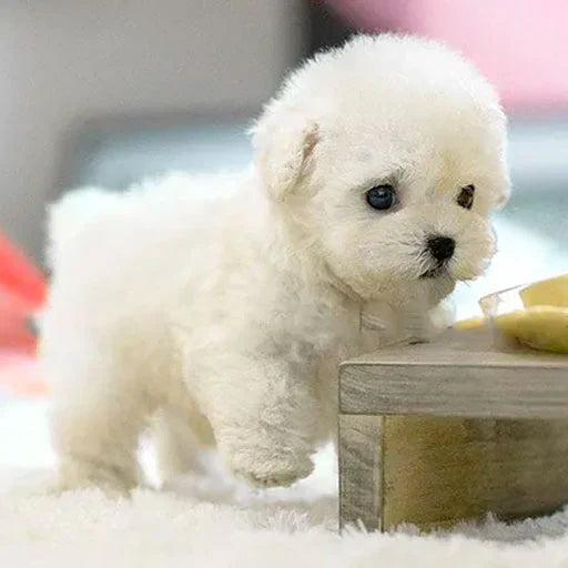 Original  Realistic Robot Puppy🐶