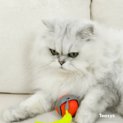 SPEEDY TAIL 2.0 ™‎‎‎‎‎