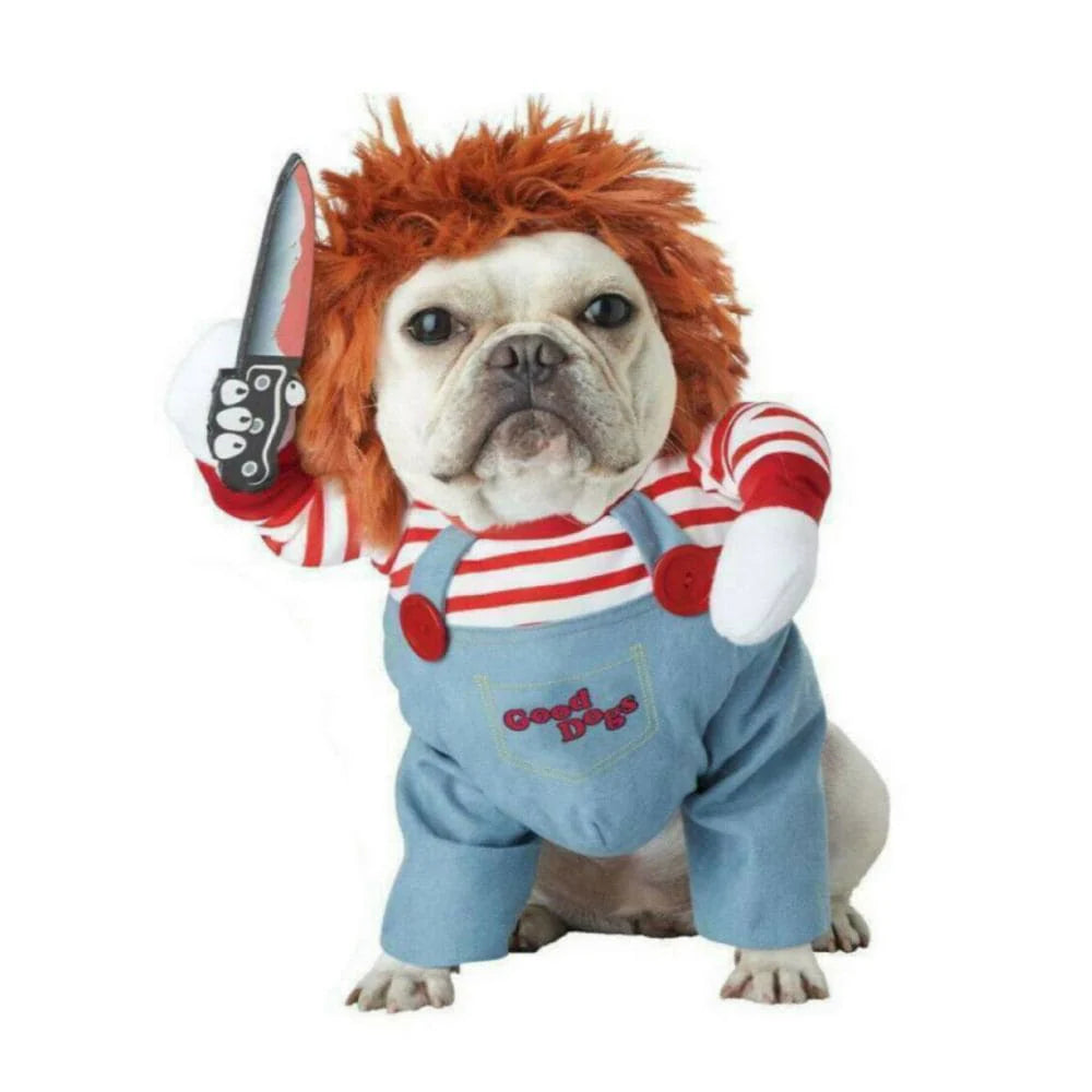 Funny Dog Costume