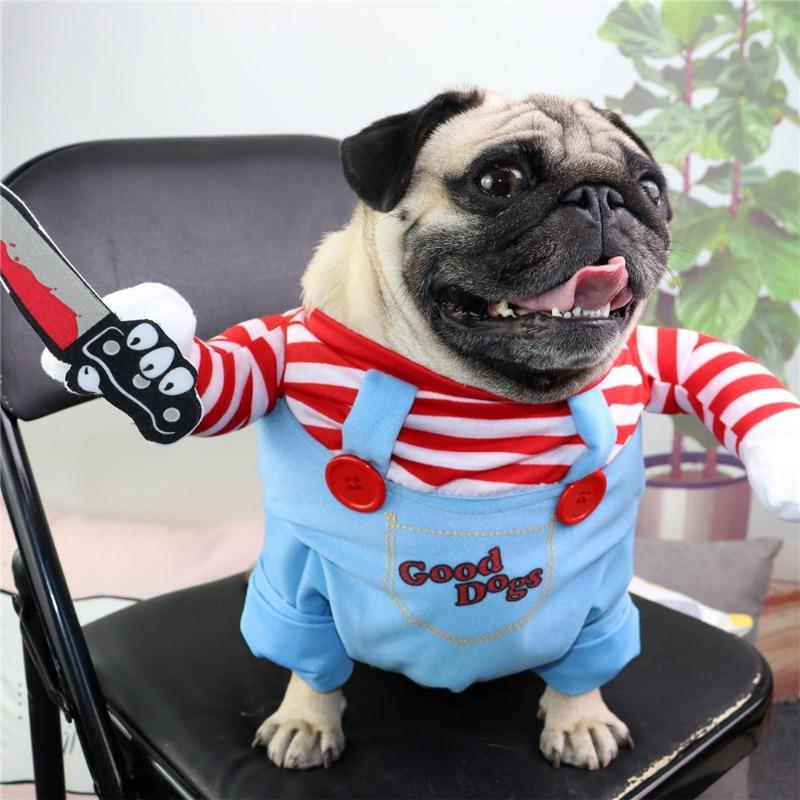 Funny Dog Costume